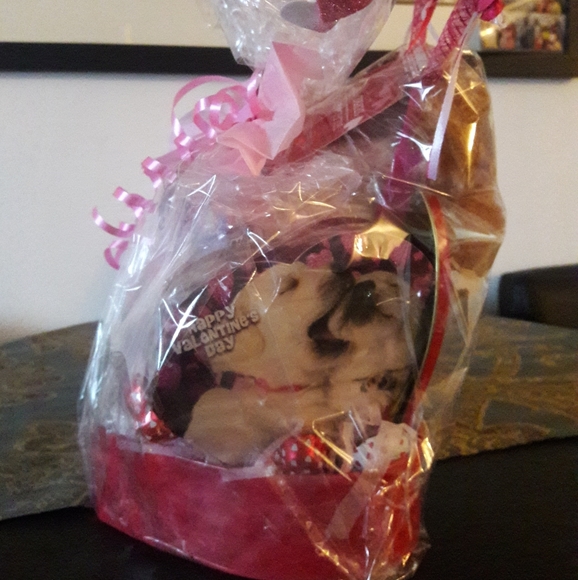 Valentine's Day puppy and candy gift - Picture 3 of 8
